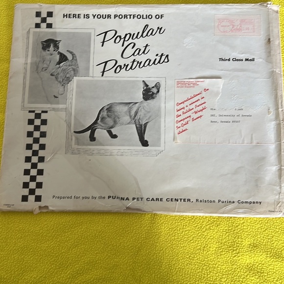 Cat 🐈‍⬛ Portraits - Picture 4 of 7